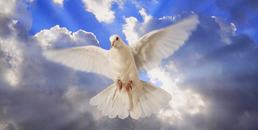 símbolo, amor, Dios, salvación, Jesús, espíritu, santo, cristianos